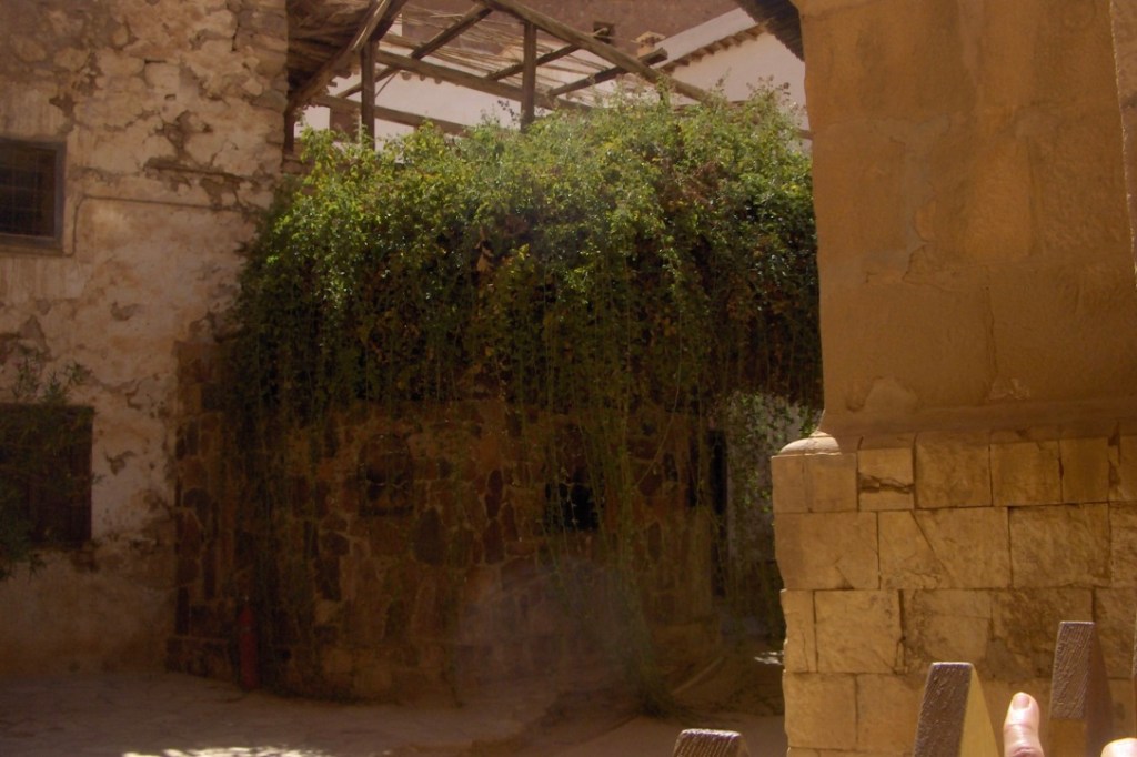 A picture containing building, outdoor, street, man

Description automatically generated