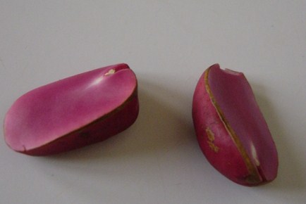 A picture containing indoor, table, sitting, fruit

Description automatically generated