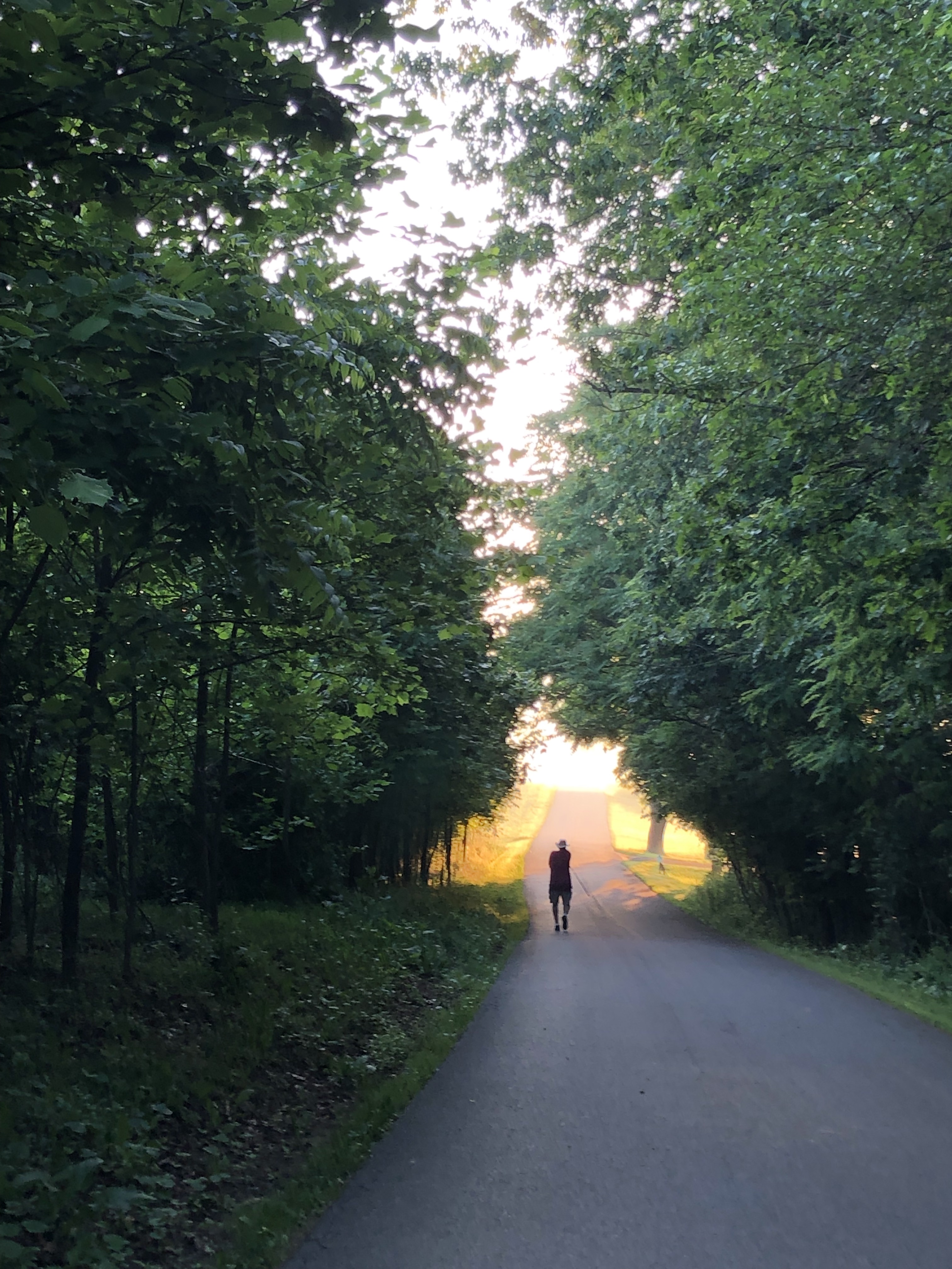 The Path – Wayfinding